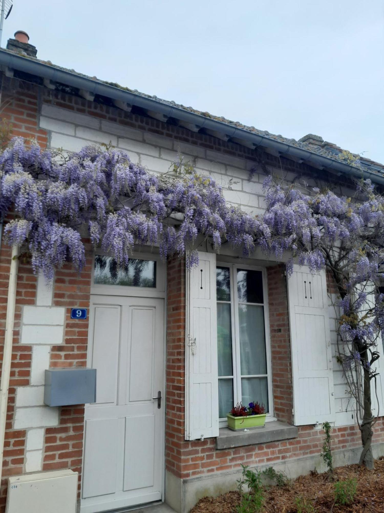Gite, Maison A La Campagne Ardennes, Aisne,Marne Le Thour 객실 사진